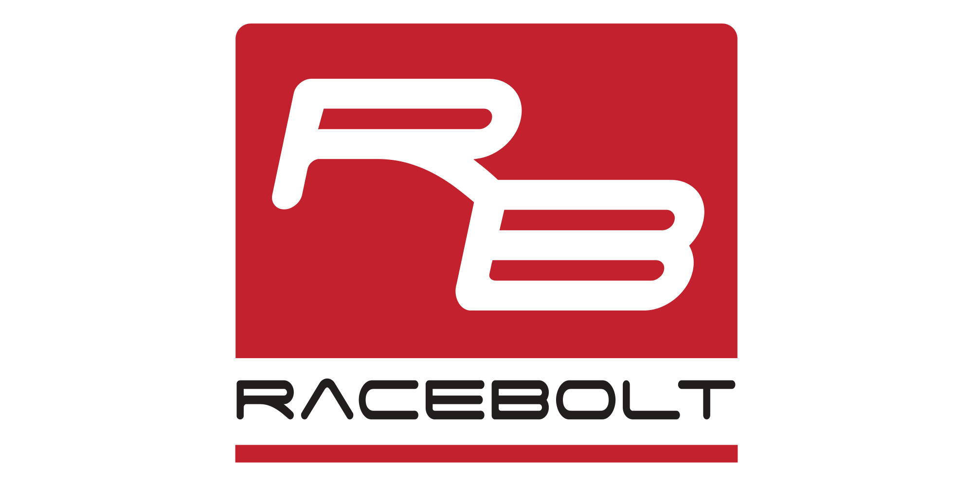 正規品 【TYCO BMW】SuperBike 公式 TRACK TOP ジャケット【M】 本物・希少！（検 TTマン島 BSB SBK motoGP Super Bike BMW Motorrad） ROKiT BMW Motorrad WorldSBK Team Shop